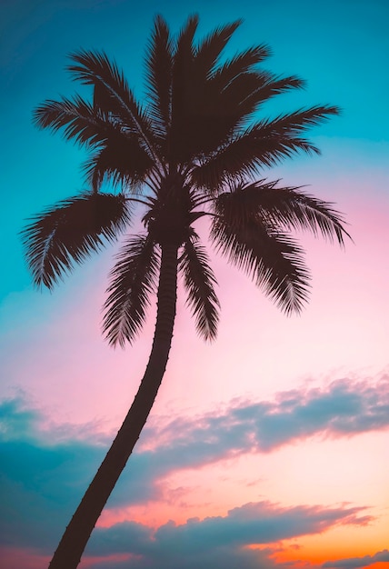 Landscape of palm trees in pastel colors