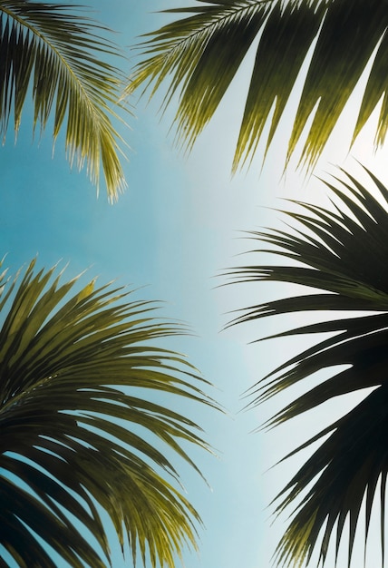 Landscape of palm trees in pastel colors