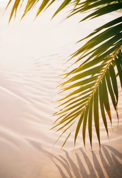 Landscape of palm trees in pastel colors