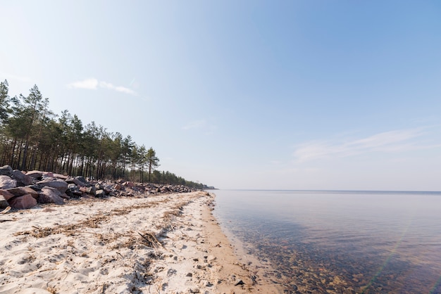 Free Photo landscape of paradise tropical island beach with trees against blue sky