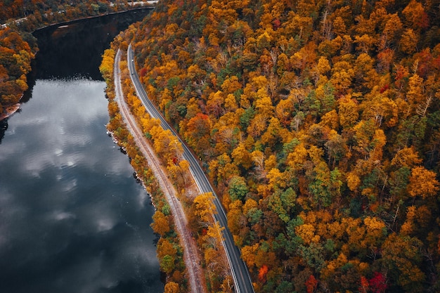 Landscape of a road in a forest covered in yellowing trees surrounded by a lake