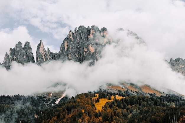 Free photo landscape of rocks surrounded by forests covered in the fog under a cloudy sky