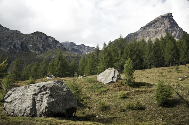 Free photo landscape of rocks surrounded by greenery under a cloudy sky at daytime