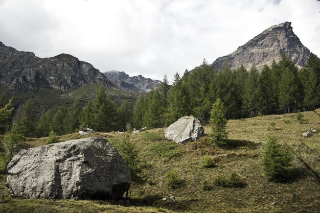 Landscape of rocks surrounded by greenery under a cloudy sky at daytime