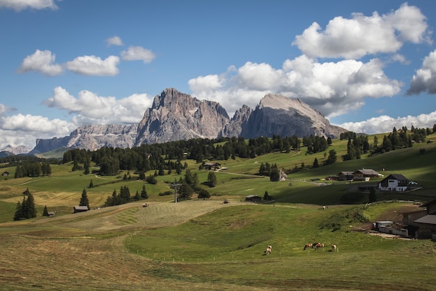 Free Photo landscape of the rocky seiser alm and wide pasture in compatsch italy