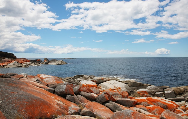 Landscape sea and rocks