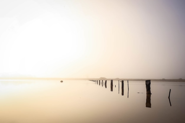 Free Photo landscape of the sea with wooden planks of an unfinished dock in it under the sunlight