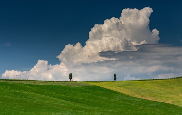 Free Photo landscape shot of a green hill with two green trees in val d'orcia tuscany italy