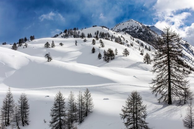 Landscape shot of the hills in piedmont italy