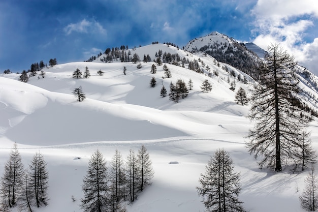 Landscape shot of the hills in piedmont italy