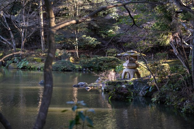 Landscape shot of a lakeside surrounded by trees