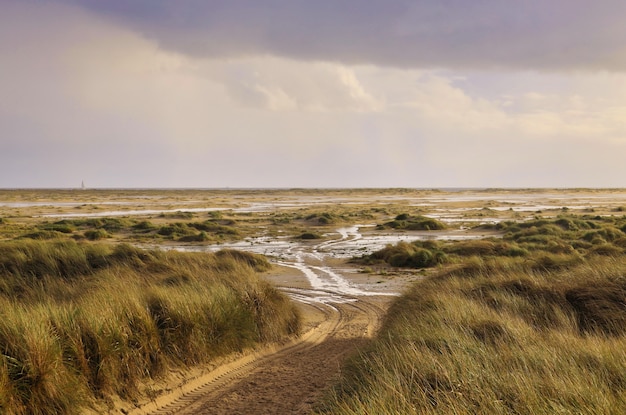 Landscape shot taken at Dunes Amrum, Germany on a sunny day