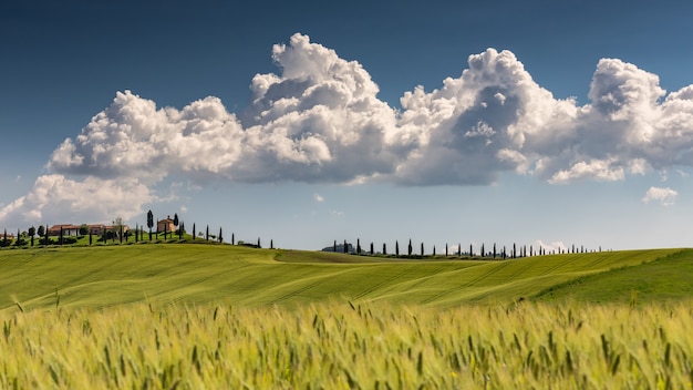 Free photo landscape shot of val d'orcia tuscany italy with a cloudy sunny blue sky