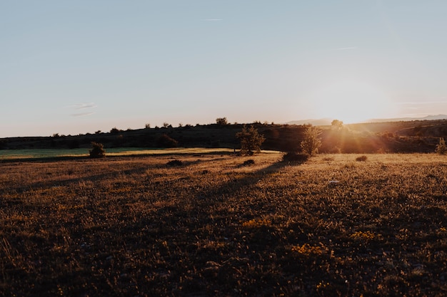 Free Photo landscape of a sunset in a clear day