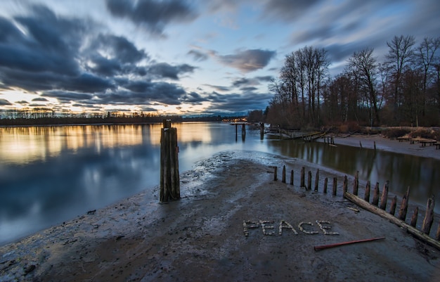 Landscape of Trees and Body of Water Under Cloudy Skies