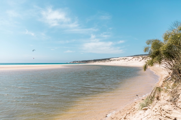 Free photo landscape of tropical beach with parasailing on background