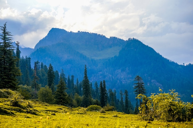 Landscape view of the fields and Manali mountains in India