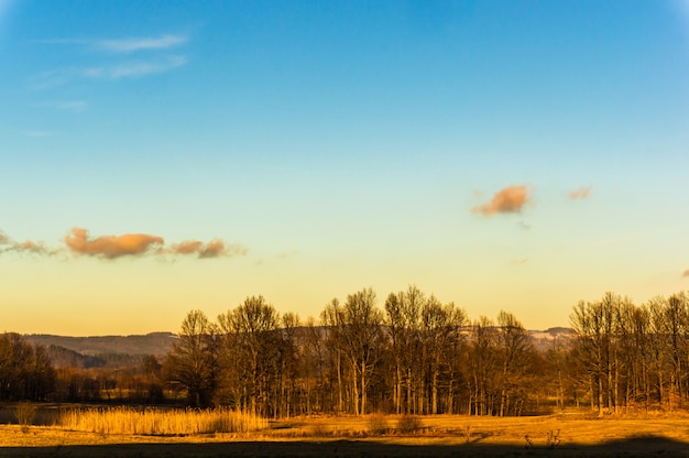 Free Photo landscape view of golden fields with bare trees and mountains in the in autumn