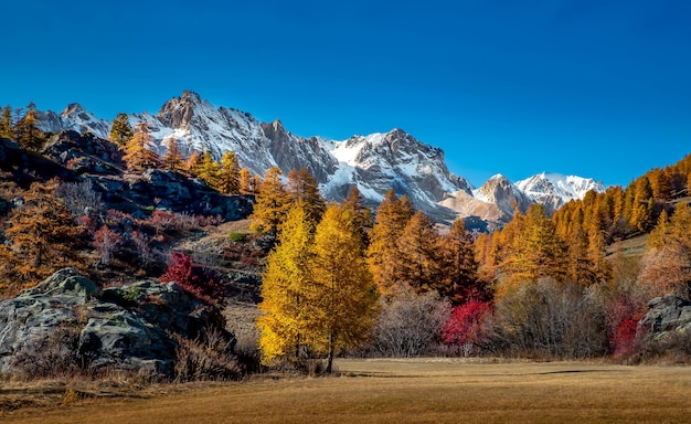 Free Photo landscape view of mountains covered in snow and autumn trees