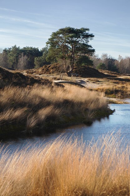 Landscape view of the surroundings of the lake in Zeist, the Netherlands in Autumn