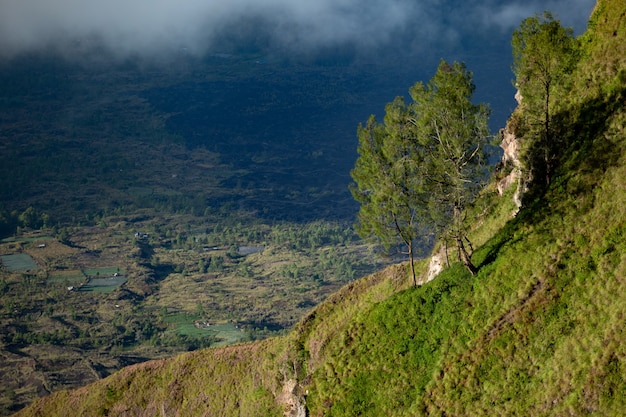 Landscape. on volcano batur. Bali. Indonesia