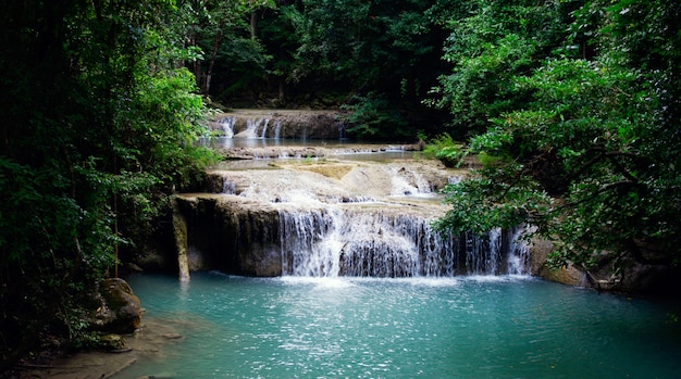 Free Photo landscape waterfall in a forest