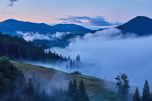 Landscape with fog in mountains