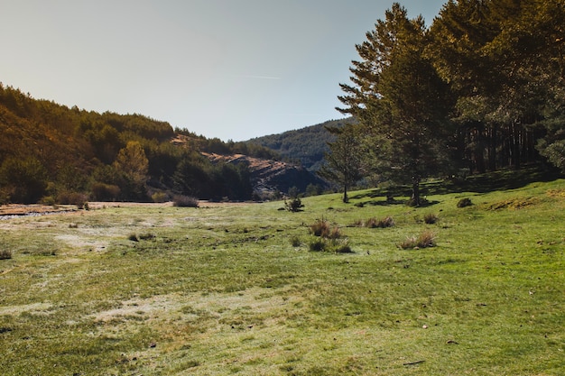 Landscape with grass and hills