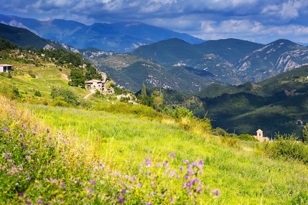 landscape with mountain meadow  