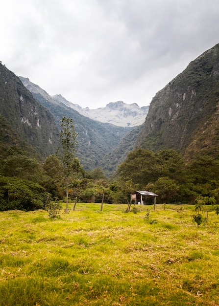 Landscape with mountain and meadow