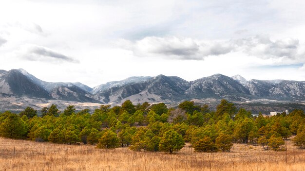 Landscape with mountains and trees