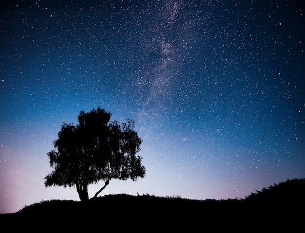 Free Photo landscape with night starry sky and silhouette of tree on the hill. milky way with lonely tree, falling stars.