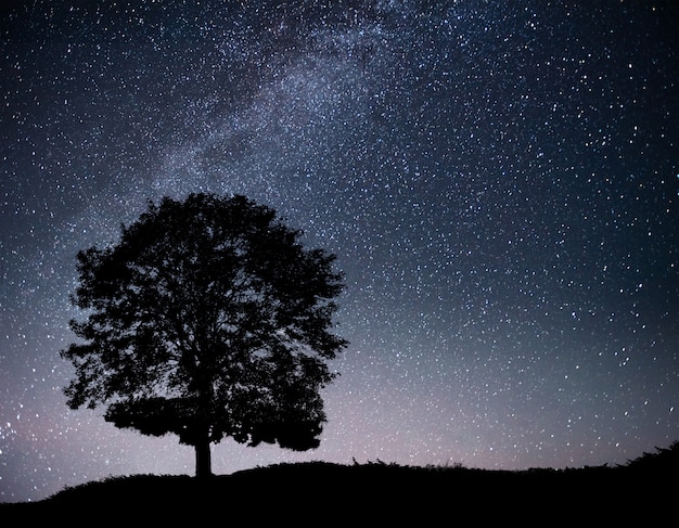 Free Photo landscape with night starry sky and silhouette of tree on the hill. milky way with lonely tree, falling stars.