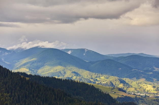 Landscape with pine forests in the mountains