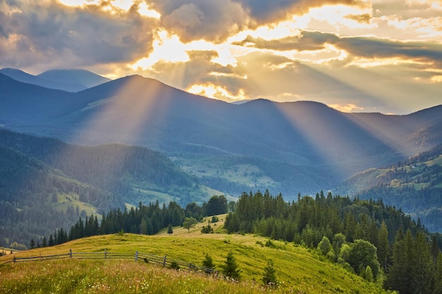 Landscape with pine forests in the mountains