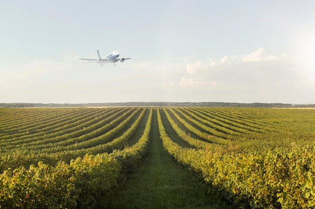 Free Photo landscape with plane flying in the sky