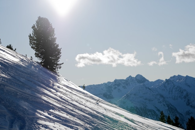 Landscape with snow on a sunny day