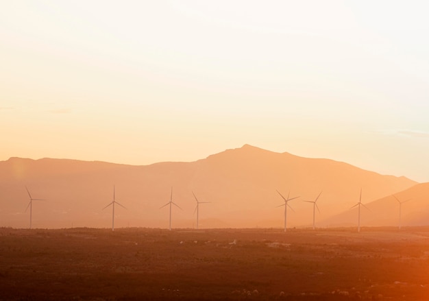 Landscape with windmills