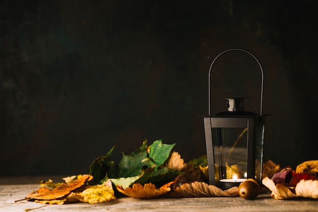 Free Photo lantern in dry leaves