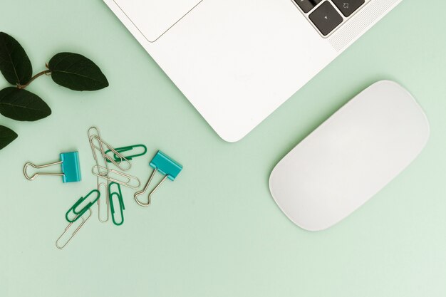 Laptop and clips with plant on desk at workspace