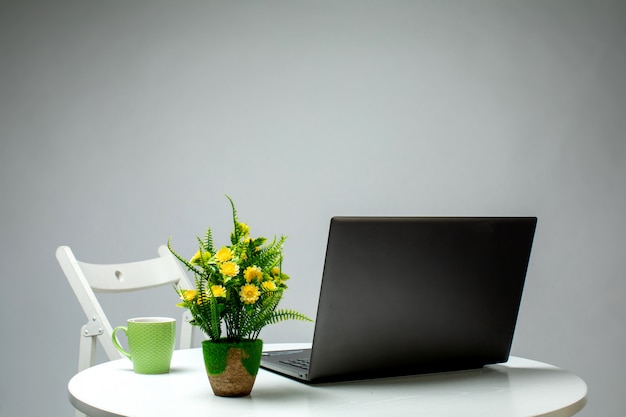 Laptop plant and cup on the table