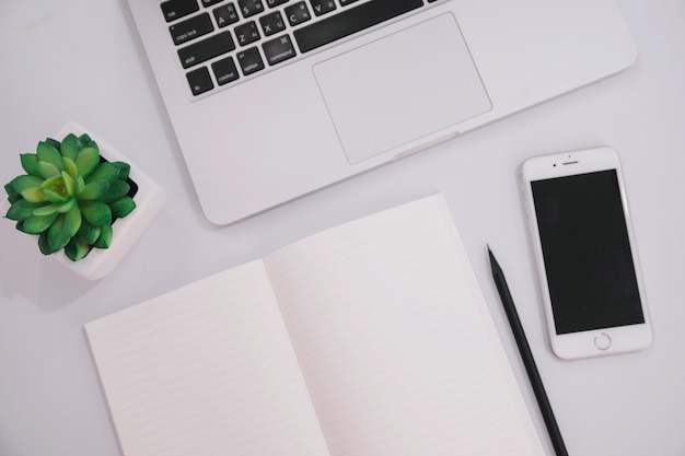 Laptop and plant near notebook and smartphone