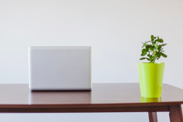 Free photo laptop and plant in pot on table