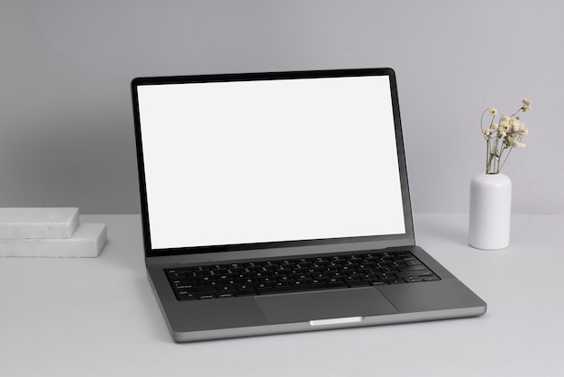 Laptop and plant on table arrangement