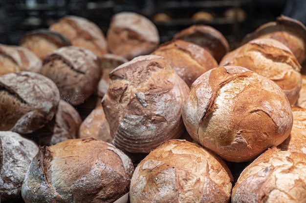 Large loaves of bread on the counter of a bakery