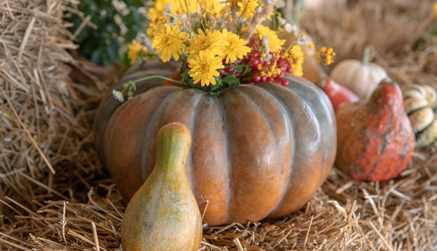 Free Photo large pumpkins among straw and flowers, rustic style, autumn harvest.