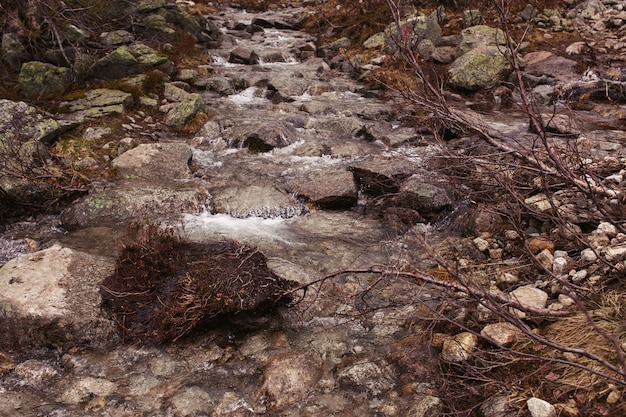 Free photo large rocks lie on the river somewhere in the mountains