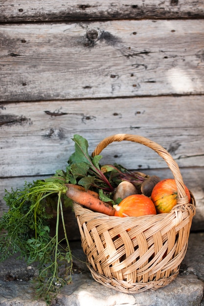 Free photo lateral view  basket with pumpkins carrots and radishes