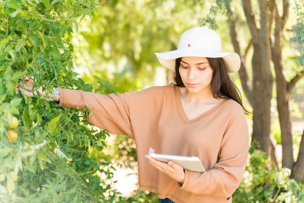 Free photo latin female farmer examining tomato plants while using wireless computer in vegetable garden