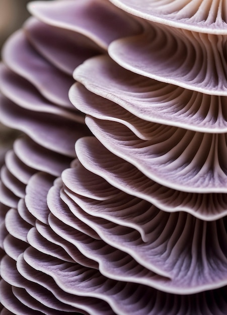 Lavender colored background with fungi texture